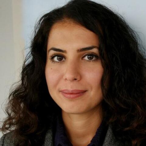 Anaheed M. Al-Hardan
